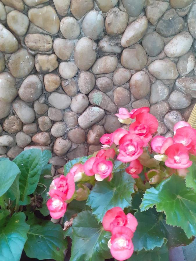 Pousada Recanto Das Flores パライア・ジ・モイタス エクステリア 写真